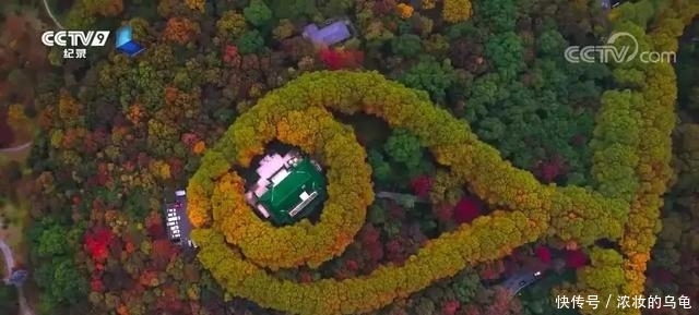 来南京，必须要做的十件事