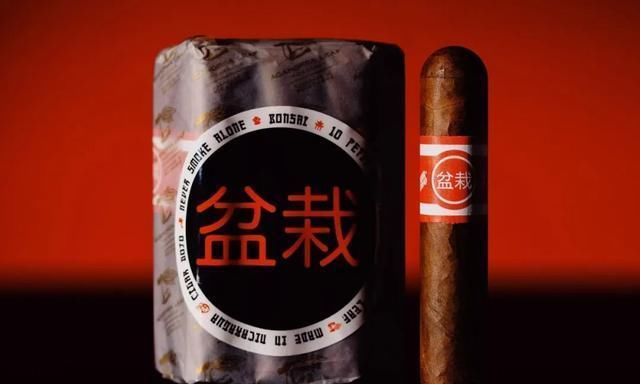  『特别』非常特别的盆栽雪茄