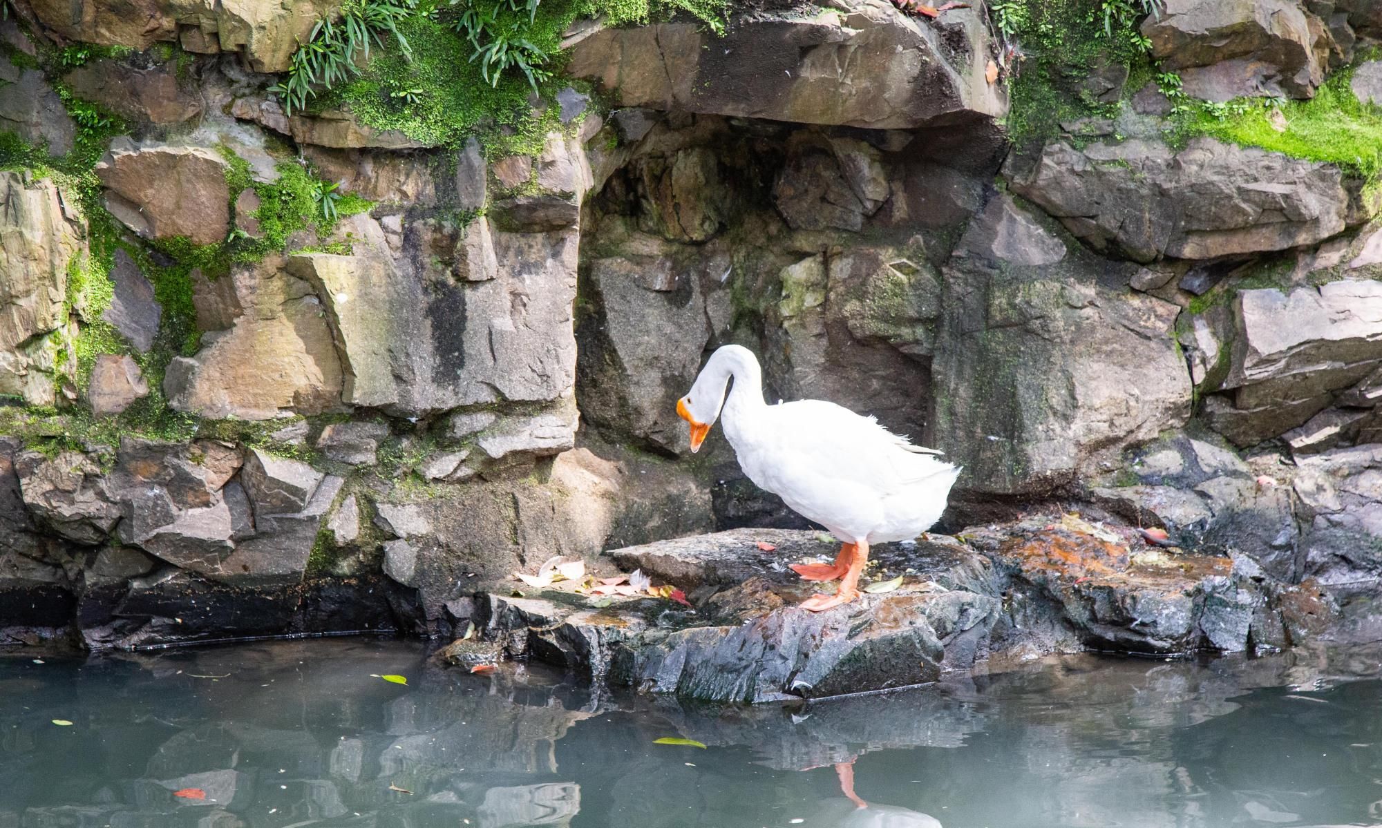 只知鲁迅故里和沈园？绍兴还有一个更无聊的景点，门票95元！