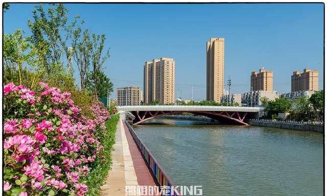  「改造」济南这回下血本，小清河沿岸改造交作业，你打几分？