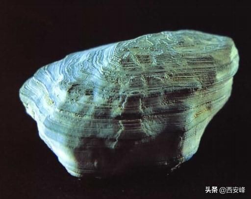 河南安阳殷墟墓出土（玉珠、玉管、玉饰品）