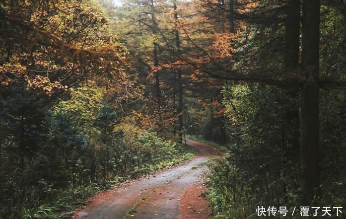  「无人区」河南有一处名副其实的无人区，就在三门峡这里，你去