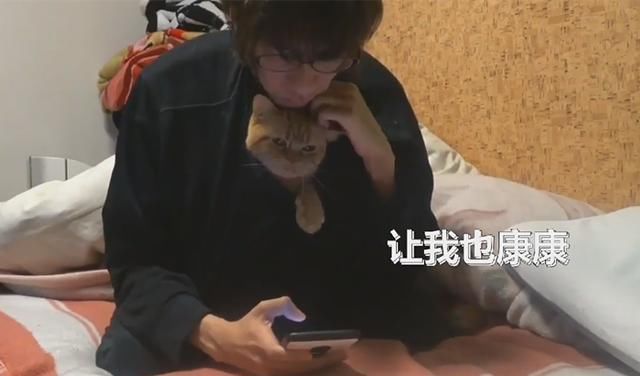  [粘人]主人趴床上玩手机，衣领处意外钻出猫头，猫咪：休想无视我