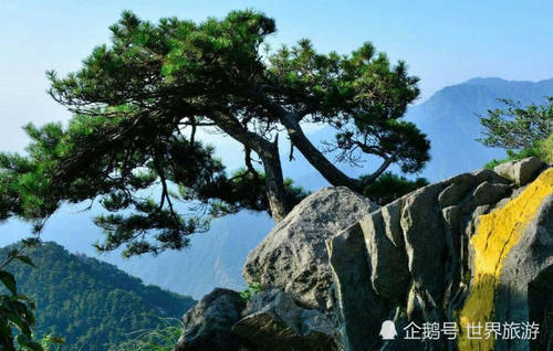 我国著名景区“坑游客”，强买强卖套路深，不掏钱不让走！