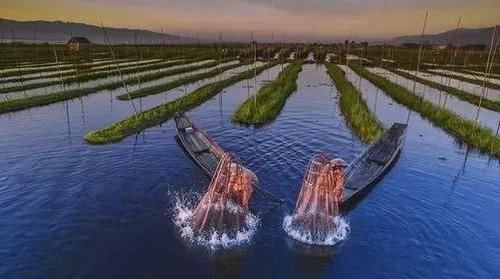 世界上最“昂贵”的河流,河里的东西比黄金还贵,普通人却无法靠