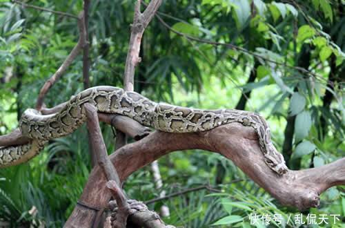 世界上那些至今都禁止人类进入的地方，你听说过吗？