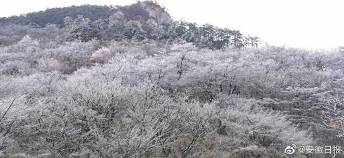 黄山迎来今冬首场雾凇