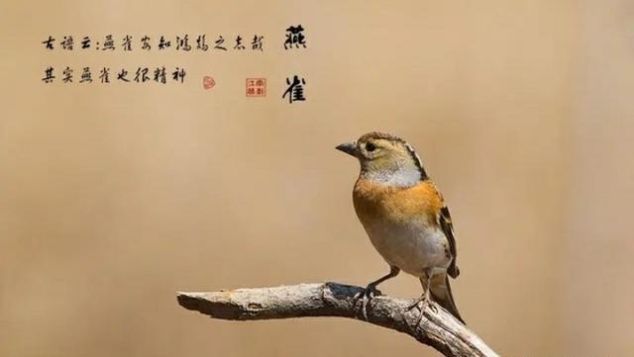 『工资』因为什么让他放弃580万年薪,心甘情愿每月只拿500块工资