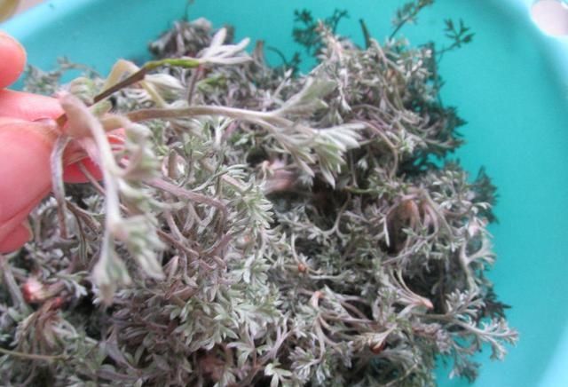  和大家分@清明时节，别错过这5种美味，简单易做超好吃，错过了要再等一年