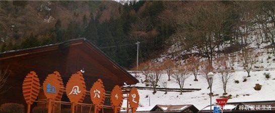 看完德国高速服务区，再看中国高速服务区，德国人表示想不通