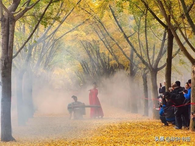 2019杏会邳州|巩伟鸣邳州美景摄影作品欣赏