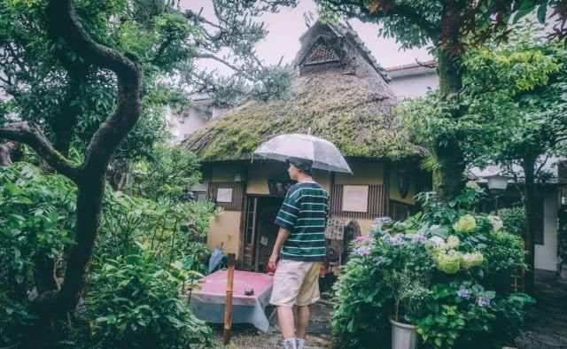 三分文艺，七分清新的国度，走进真实的霓虹国