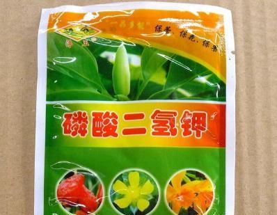  「养几只」养富贵竹，1种“粉末”少不了，加一点，枝叶翠绿，黄叶再也没了