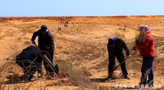 了不起! 中国治沙人 每天喝掉十几斤水, 治沙成就让世界都叹服