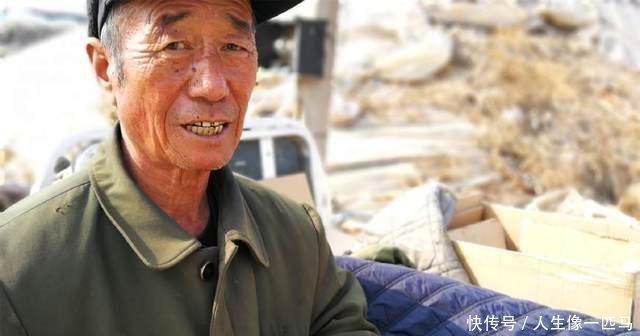  「大棚」农村老汉用儿子在日本打工挣的70万建8个大棚，为省钱抽