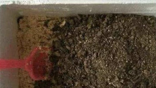  [养花]什么黄豆水、淘米水都不如“2种水”,肥效温和,养啥“都爆盆”