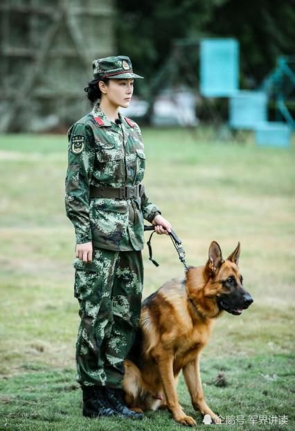 央广军事转发张馨予微博送祝福，为何这“盖章”微博删掉？