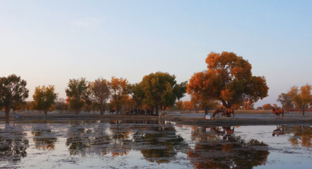 中国面积最“大”的镇，相当于25个深圳，境内世界奇景遍布！