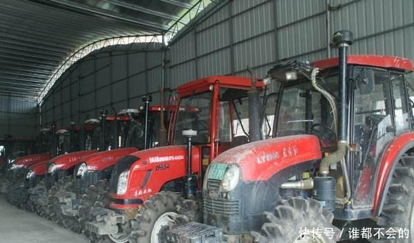 2019年农村创业做什么最赚钱，这几种农业项目最有前景