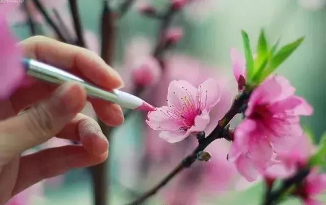 一张完美的错觉照片，是怎么拍出来的？