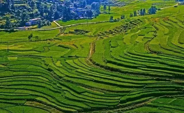 广西周末自驾游路线，一路惊喜，一路美景，体验夏天最美的样子！