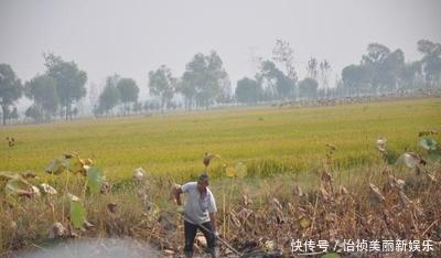 位于:该县位于河南省东北部,为历史悠久的千年古县,其老县城位于山东