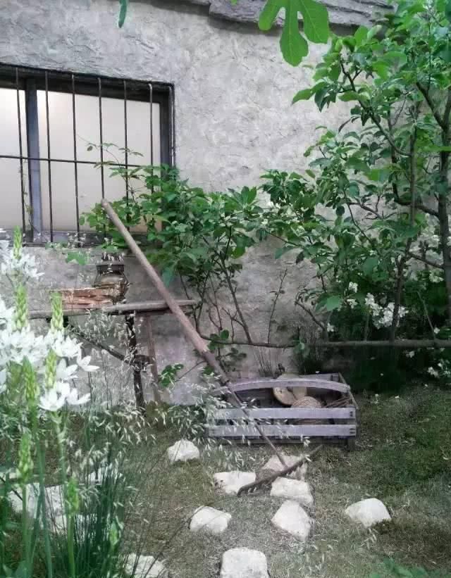  「养花」等我们年纪大了，回乡下，开辟院子，种菜养花