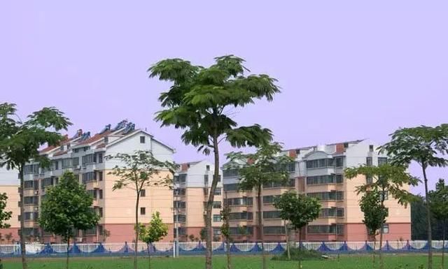  『经济』山东合村并居进行了十年，都有哪些利弊