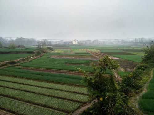  实力@广西最有希望冲击二线的城市，经济发展不如柳州，实力却比