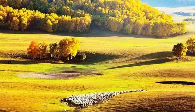 有一种美,叫秋天的乌兰布统