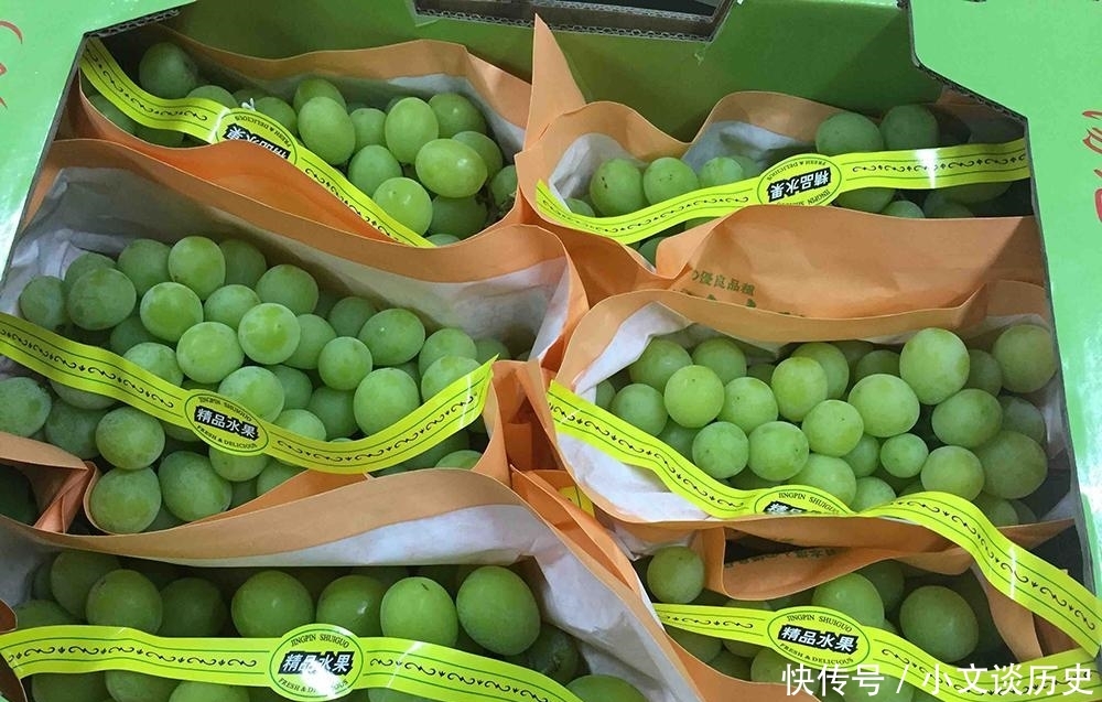  「玫瑰」被誉为贵族水果，刚引进炒到200元一斤，如今价格猛跌10