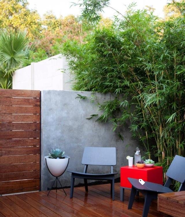 庭院竹子50张图告诉你，花园里种竹子有多高大上，气质瞬间提升