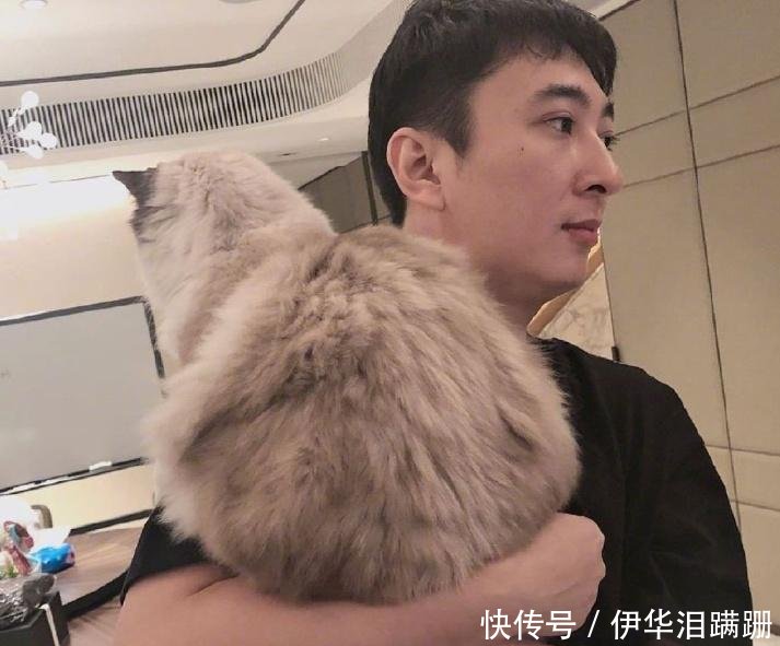 王思聪还了5000万