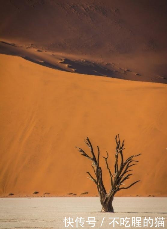 沙漠旅行-非洲的三大沙漠
