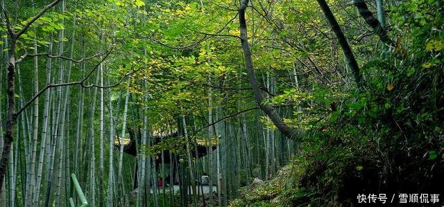 中国唯一的陶都, 多年被评为中国最佳县级市却鲜为人知