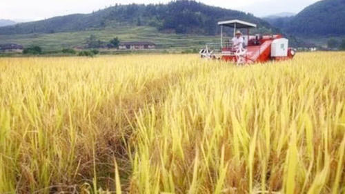  非洲■我国一种机器传到非洲，变成“加速器”，非洲人可感谢中