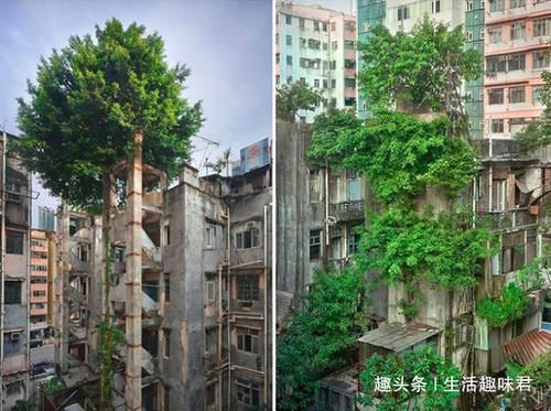 10张照片证明大自然是这个星球的主角