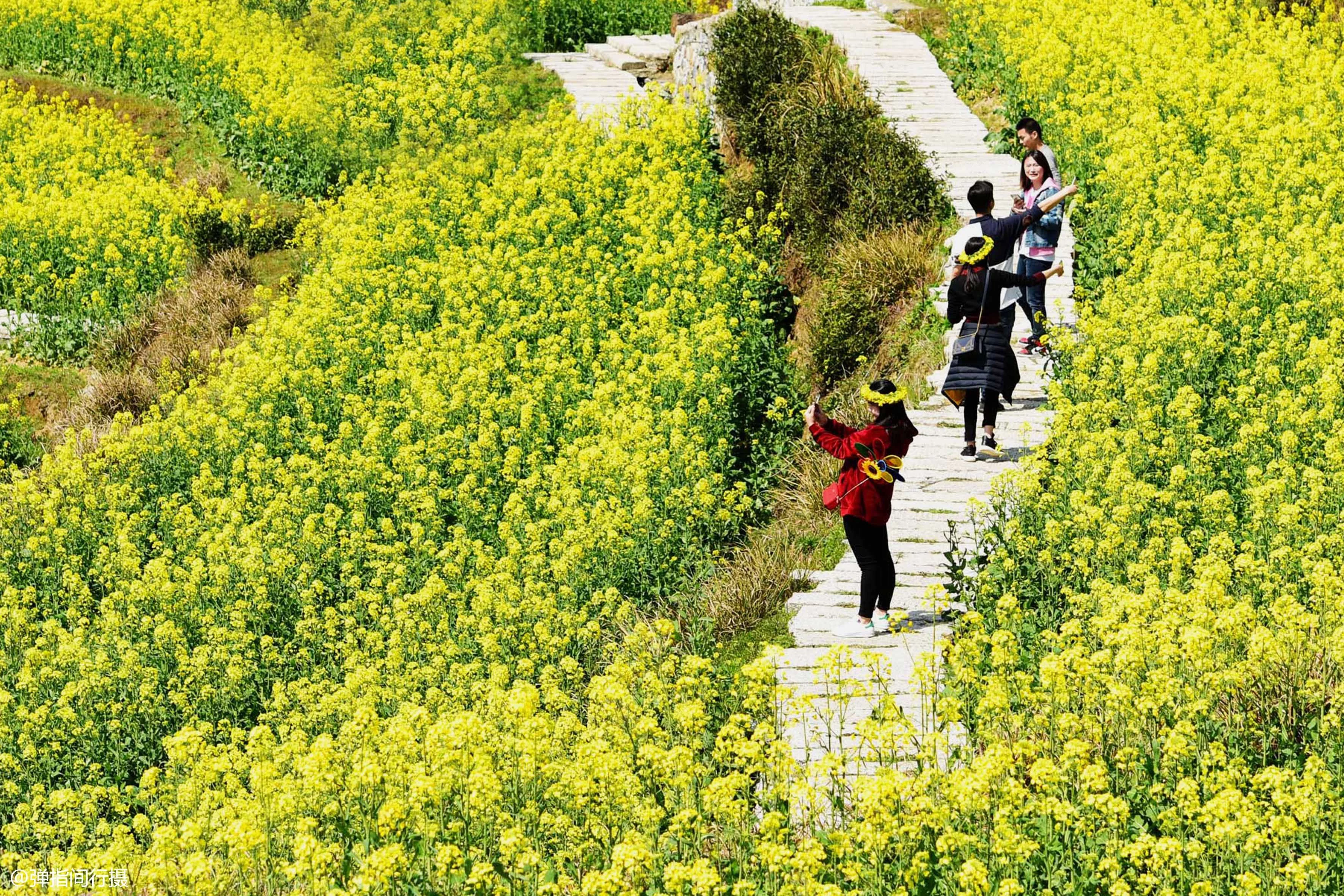 春回大地,花满神州,推荐中国3处最美春色【2020热门旅游景点】