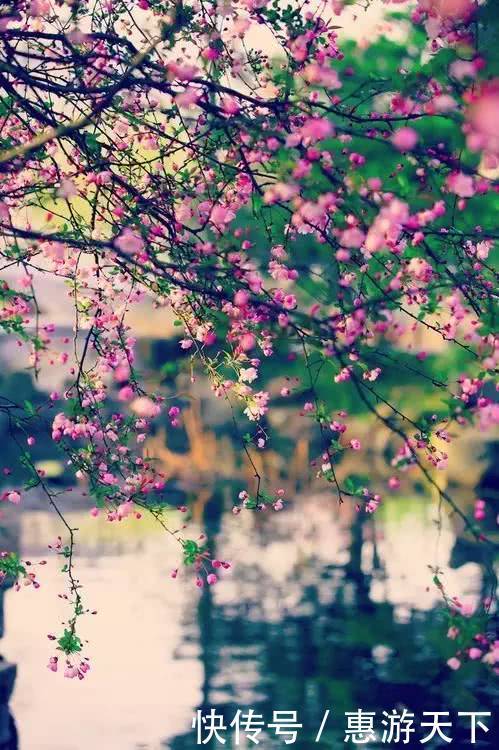 人间三月，桃红柳绿，杏花春雨，最美江南！