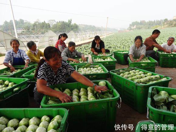 农村干这种生意的人要当心了，专家今年将有50%的经营者要关门