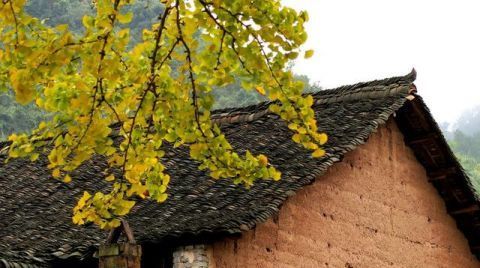  道理|“五十不交钱，六十不交言”，这些农村俗语说得太有道理！