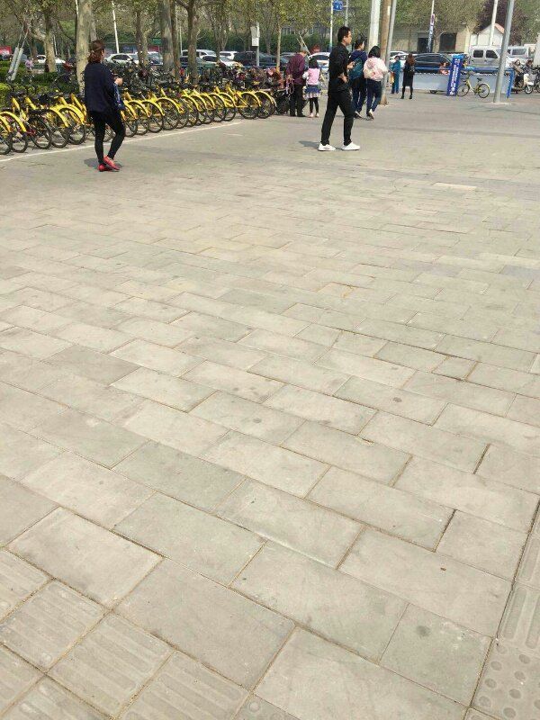 共享单车乱停 城管清理暂扣 石家庄地铁站周边