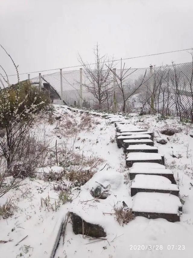  「地方」下！雪！啦！你没看错，一觉醒来，浙江这些地方白茫茫一片！