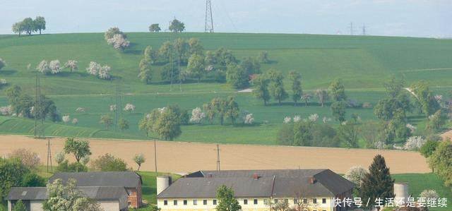 注意家有六十以上老人可享3项补贴，看完赶紧去领钱！