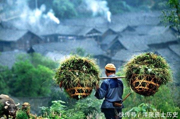 农民将很有可能面临2大问题，村村都有，现实又无奈！
