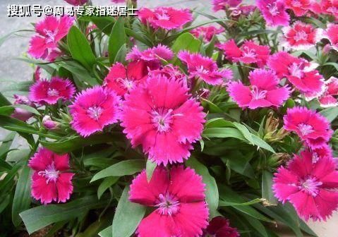  『商品』痣相算命： 少见商品，荣华富贵双全的好痣