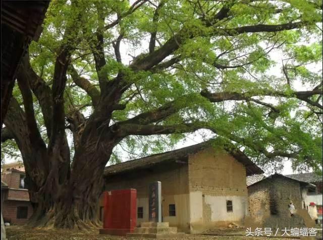 “江南第一村”蒋经国亲笔提名的村庄