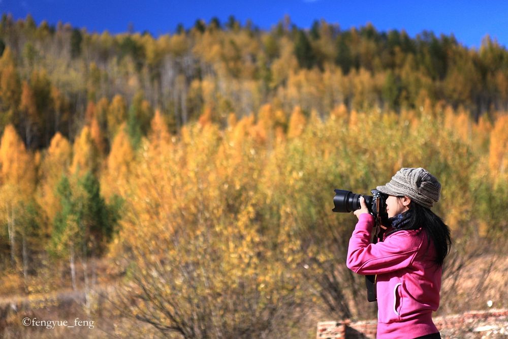 大兴安岭特大火灾澳洲火灾