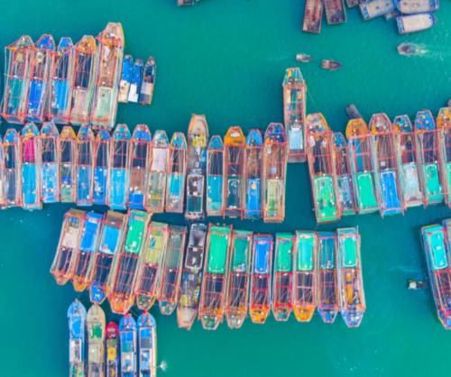 中国最适合“养老”的城市，一年四季气候宜人，海鲜跟白送的一样