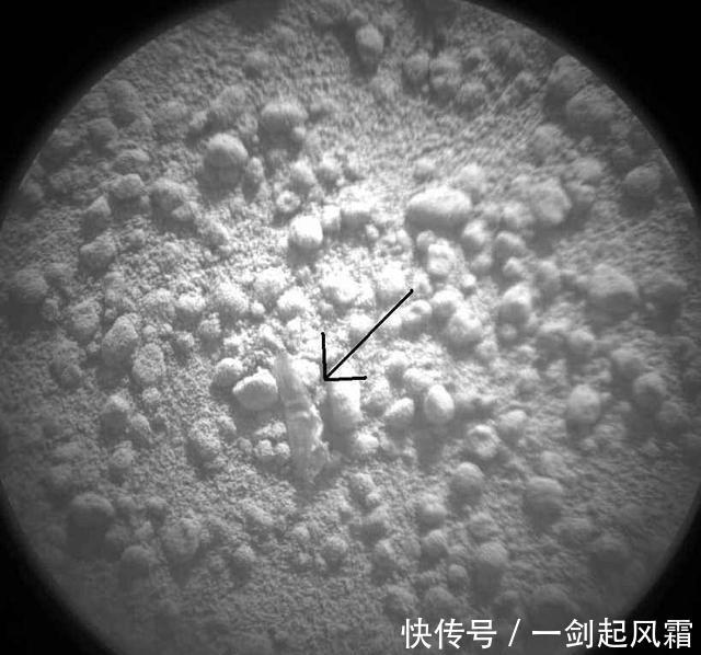 t010be39a559dd5d499.jpg